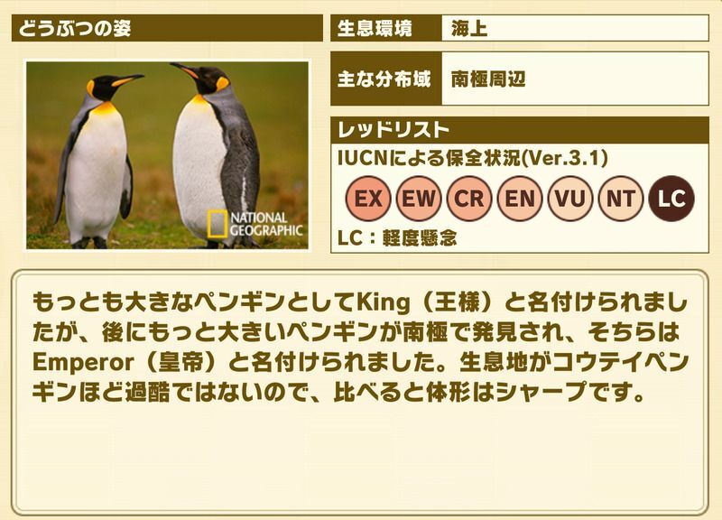 けもフレ3 キングペンギンの性能と評価 けものフレンズ3 けものフレンズ3攻略まとめ Gamerch
