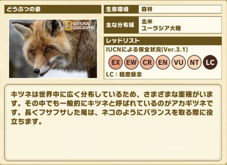 けもフレ3 アカギツネの性能と評価 けものフレンズ3 けものフレンズ3攻略まとめ Gamerch