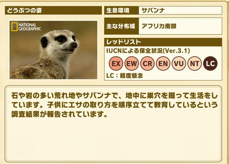 けもフレ3 ミーアキャットの性能と評価 けものフレンズ3 けものフレンズ3攻略まとめ Gamerch