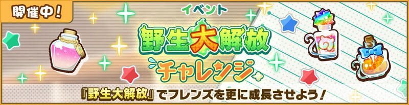 野生大解放チャレンジ　バンドウイルカ編
