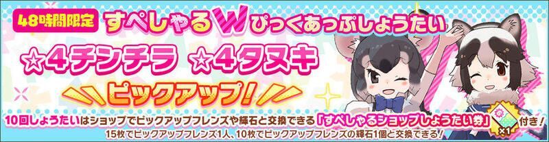 チンチラ&タヌキしょうたい