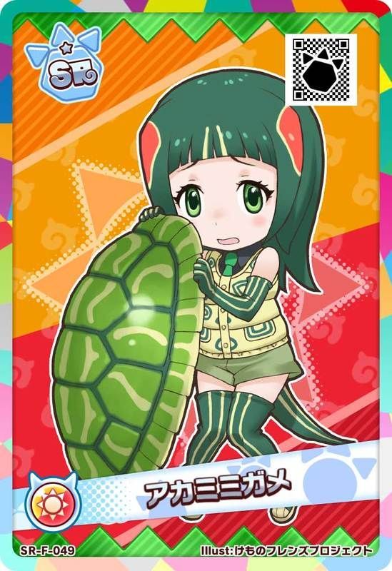 SRアカミミガメ