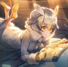 本には知識がたくさんです