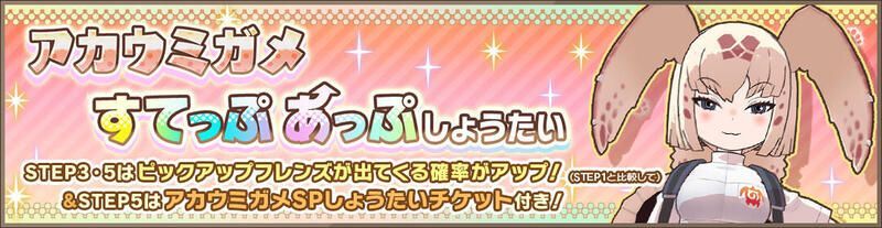 アカウミガメすてっぷあっぷしょうたい
