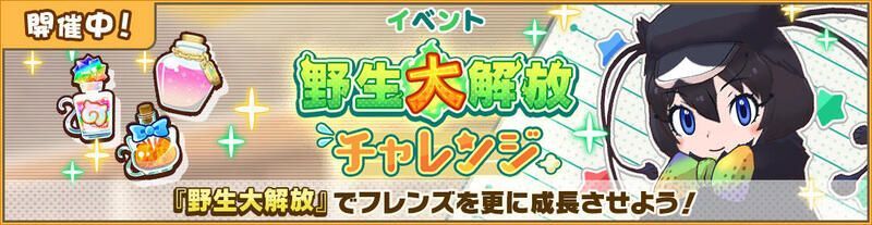 カンザシフウチョウ