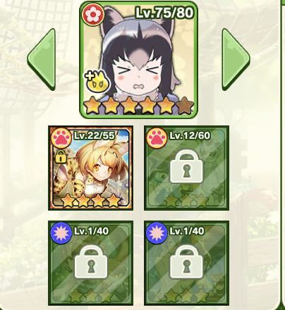 フォトの効果をより多く受けられる