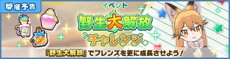 野生大解放チャレンジ