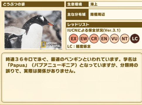 けもフレ3 ジェンツーペンギンの性能と評価 けものフレンズ3 けものフレンズ3攻略まとめ Gamerch