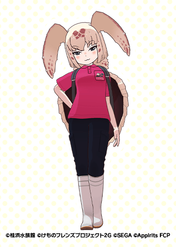 桂浜水族館の服