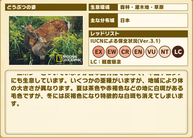 ニホンジカ プロフィール2