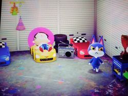 あつ森 最新の人気住民ランキング 毎月更新 あつまれどうぶつの森攻略 Gamerch