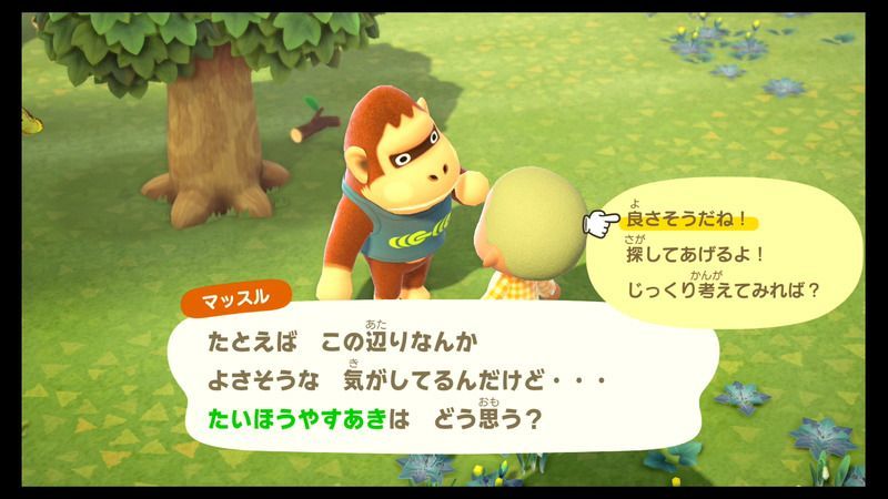 住民のテントを設置