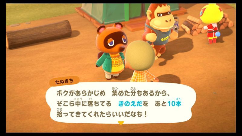 きのえだを10本拾う