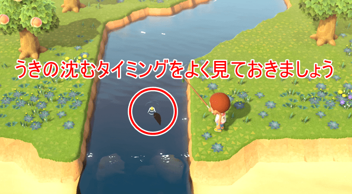 目だけで魚を釣るコツ