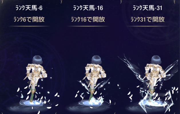 星の足跡