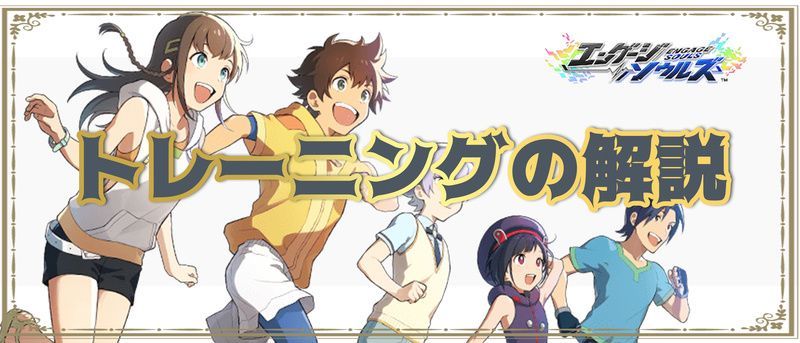 トレーニングの解説