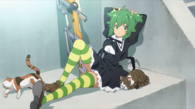 ネコ、ネコ、Thi・梅