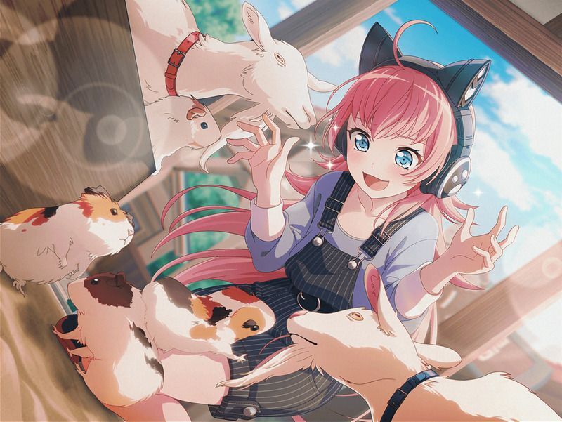 慣れない手つきで（チュチュ）の特訓前画像