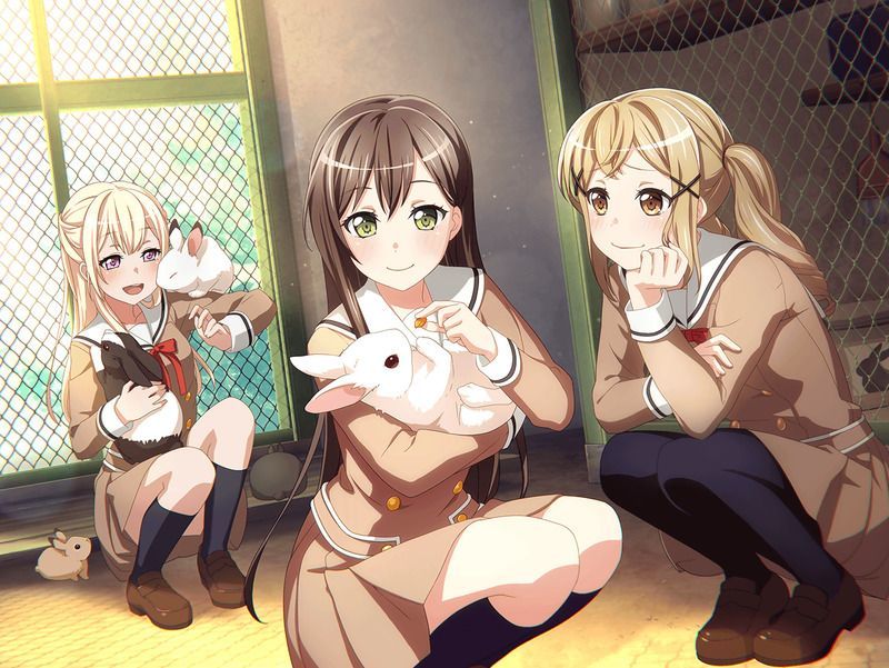 うさぎ大作戦（花園 たえ）の特訓前画像
