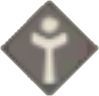 杖