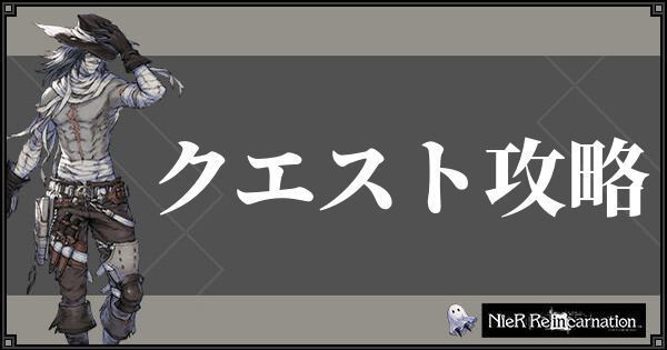 カーネーション ニーア 攻略 リィン