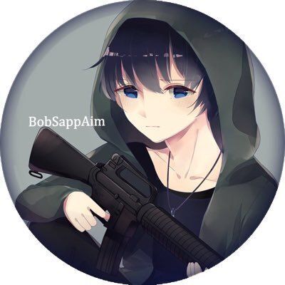BobSappAim