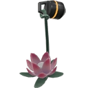 Tier「37」ガンバディー