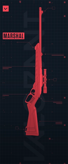 プレイヤーカードTier「29」