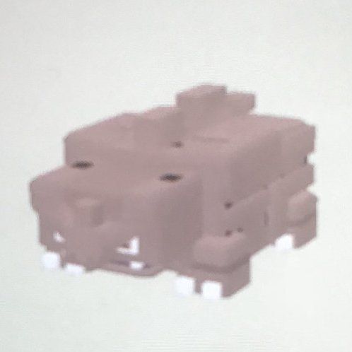 色違いサイホーン