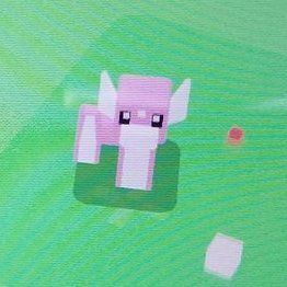 色違いミニリュウ