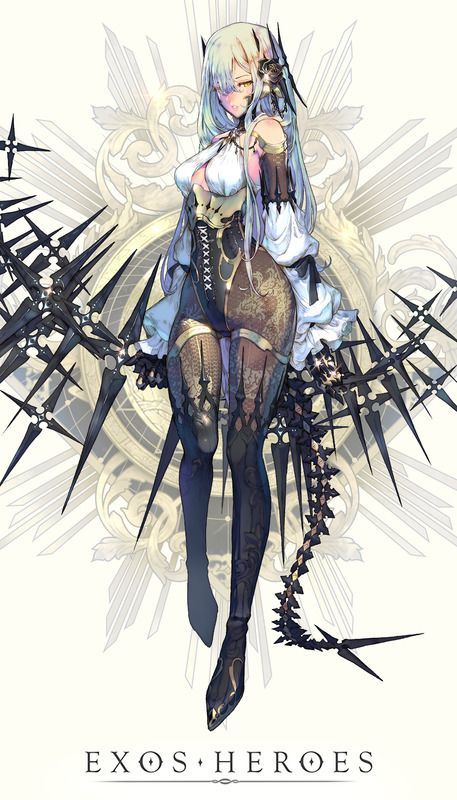 ドルカ全体画像