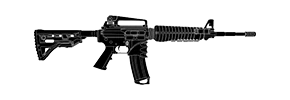 AR-15.50