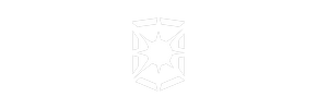 フラッシュシールド
