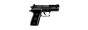 P229 RC