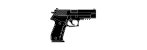 P226 MK 25