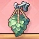 ハンギングプランツ