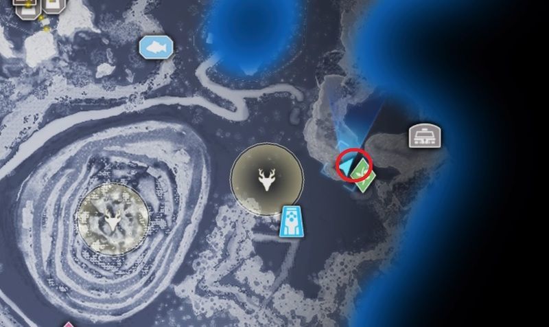 薫衣草の入手場所