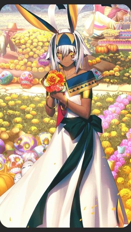 英霊催装:ニトクリス〔オルタ〕全体画像