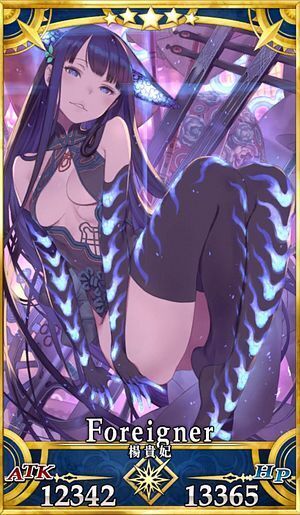 FGO 楊貴妃 ScarletAgents キャラクタースリーブ FGO 楊貴妃 B ScarletAgents キャラクタースリーブ（商品検索