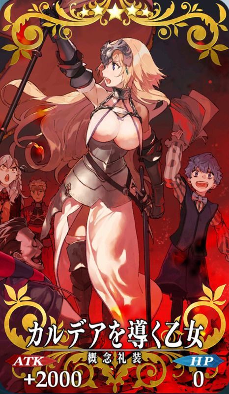 カルデアを導く乙女全体画像