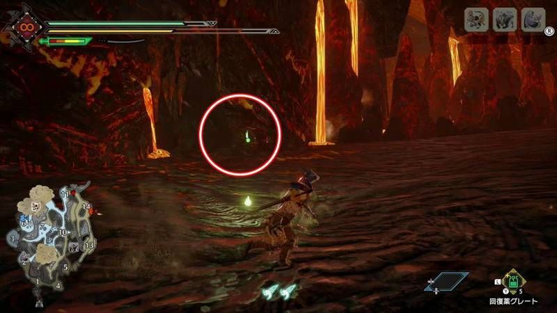 モンハンライズ レア環境生物 希少生物 の出現場所まとめ どこにいるか 撮影方法など Mhr モンハンライズ攻略wiki Gamerch