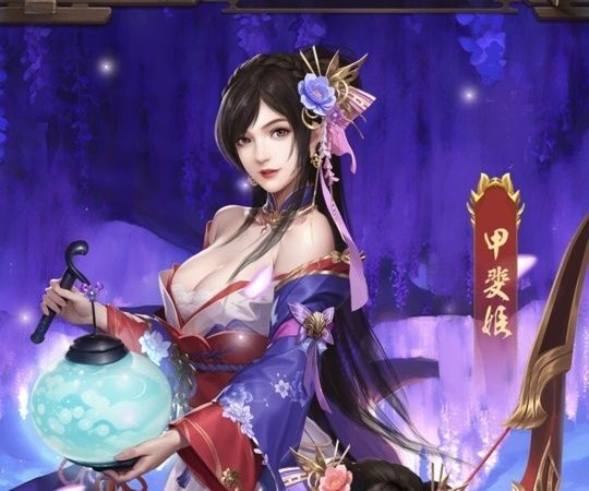 LR甲斐姫（美人）