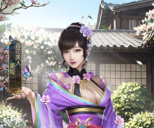 豪姫（美人）_限定_百花美人