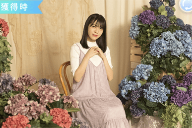 【紫陽花】森本茉莉のプロフィール画像