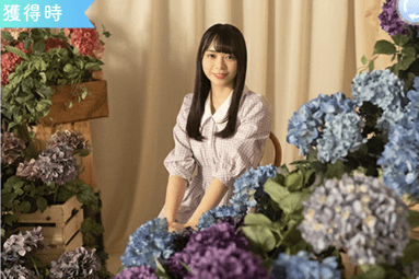 【紫陽花】山口陽世のプロフィール画像