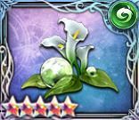 疾風:マスターの御守