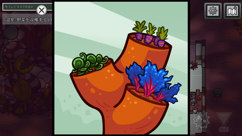 野菜を収穫する