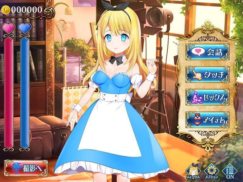 カメラの国のアリス チャート Alice in Cameraland - biim兄貴攻略wiki