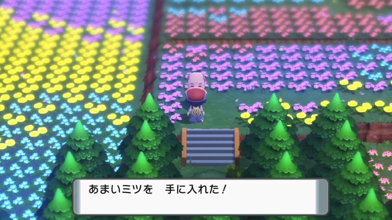 ソノオのはなばたけ