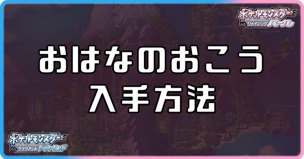 ダイパリメイクのおはなのおこうの入手方法